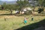  former farm house is the school