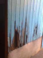Termites like to eat wood, even doors don't escape their attention.